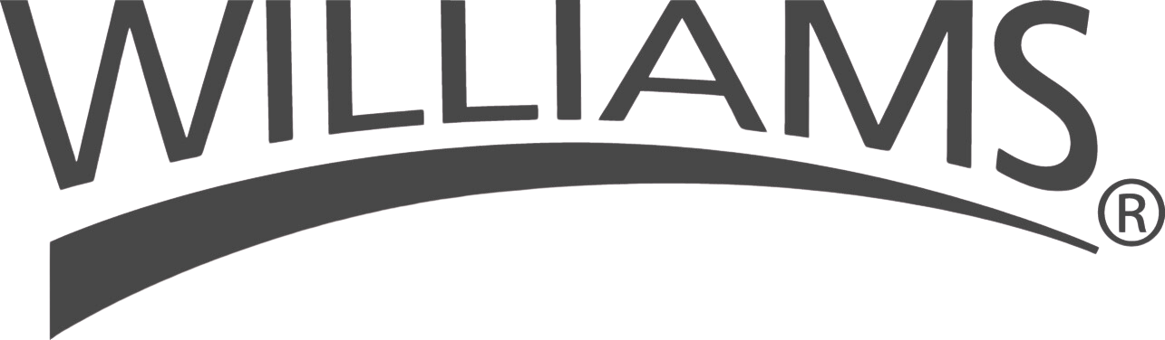 logo 21
